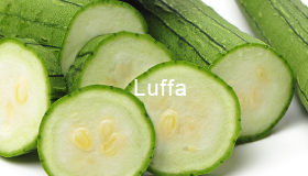 Luffa